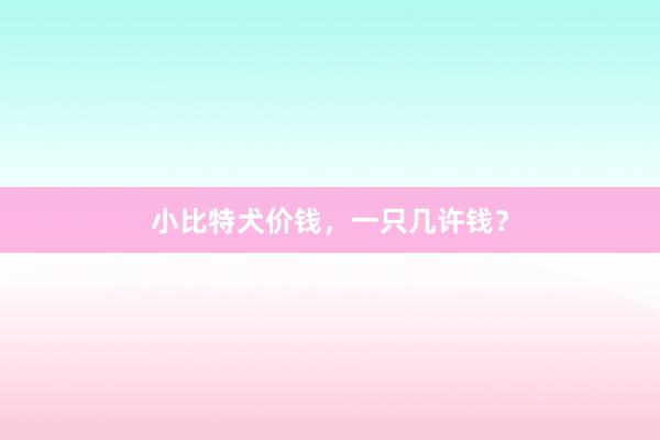 小比特犬价钱，一只几许钱？